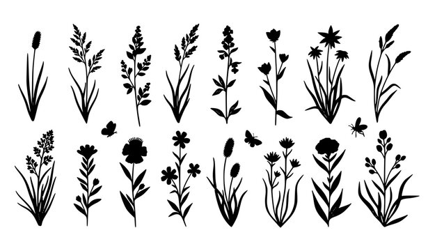 Wild grass flowers herbs and insects black silhouette set hand drawn botanical vector illustration