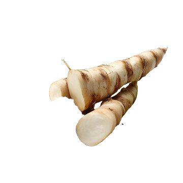 ingredientstyle commercial photo of arrowroot Marata arundinacea root with the flour on its leaf perfect studio light white background