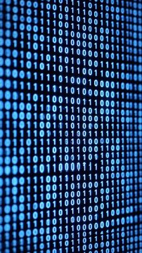 Exploring blue digital binary data on computer screen in VSRExport program at a workspace