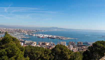Obraz premium Panoramic view of Palma with its harbor, yachts, and coastline, framed by green trees under a clear blue sky.