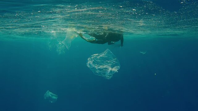 A woman in snorkeling gear, a volunteer cleanup worker, picks up plastic trash floating in turquoise water, covered with an oily layer on its surface, in bright sunlight, under backlighting conditions