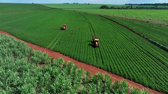 Aerial view of a tractor spraying green peanut crops next to a vast sugarcane plantation