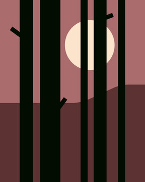 Forest of tree silhouettes with sun behind