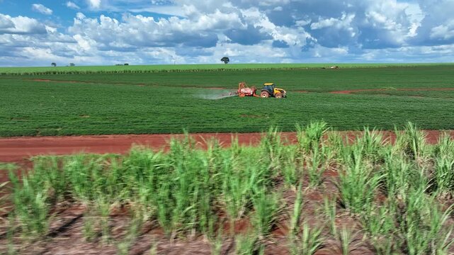 Aerial view of a tractor spraying green peanut crops next to a vast sugarcane plantation