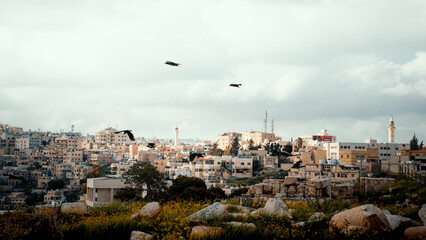 View of the beautiful city of Amman, Jordan © Sellami