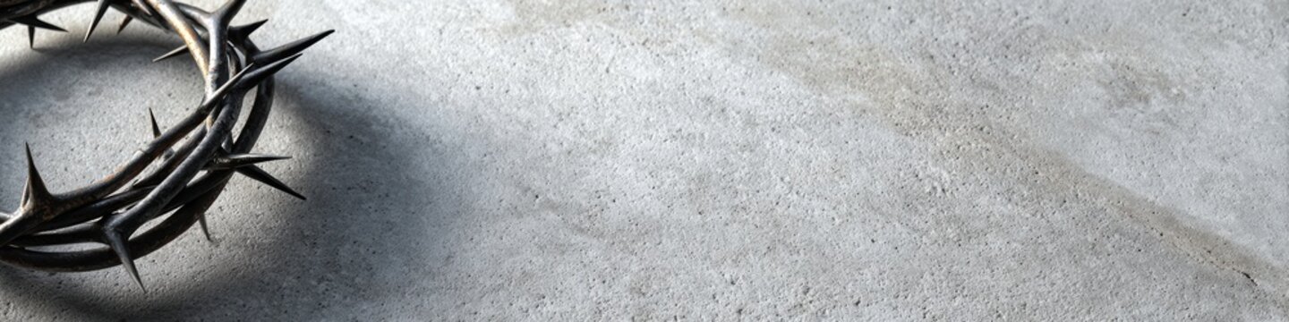 modern web banner, elegant, minimalistic web banner with natural elements and negative space for modern branding and promotional text