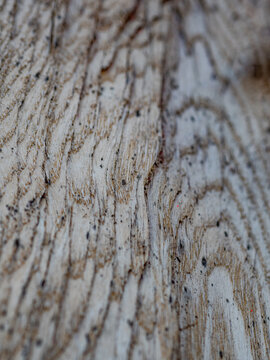 Holztextur