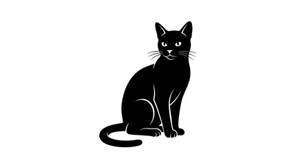 Black cat sitting on white background. © jack