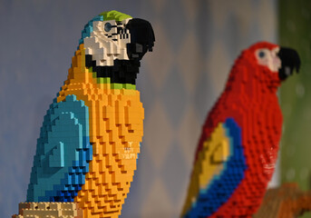 Naklejka premium LEGO parrot 