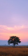 Fototapeta premium Solitary green tree silhouette at sunrise across golden field with pink and purple sky, peaceful rural dawn landscape