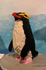 Naklejka premium Lego penguin