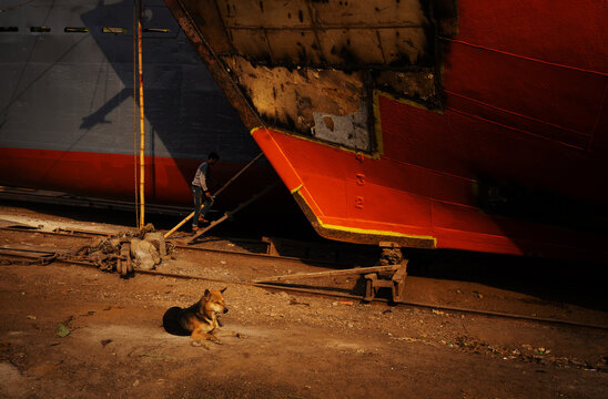 Keraniganj, Bangladesh - 11 February 2023: View of the stark contrast between the red hull of a massive ship and the gritty ground, where a dog rests as a worker toils nearby.