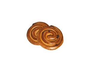 Fototapeta premium Watercolor illustration of two sweet raisin swirl buns
