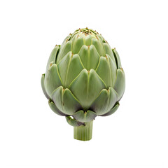 Fototapeta premium Fresh green globe artichoke vegetable, raw and uncooked, standing upright with stem visible, isolated on a clean white background, perfect for healthy eating and culinary concepts