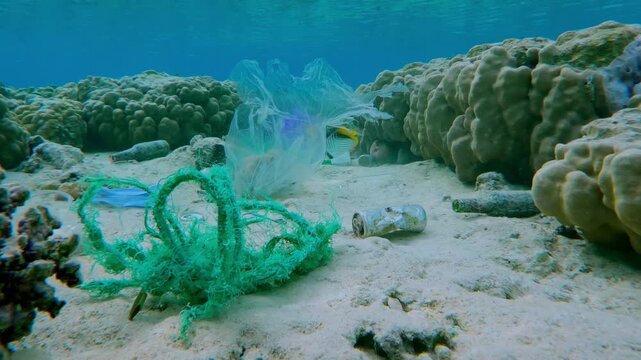 Close up of plastic trash lying on the seabed between corals of flat-top on a shallow coral reef, tropical fish feeding among the trash in the evening light, Plastic Pollution of the Ocean