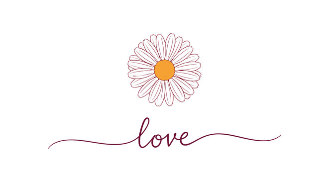 Single white daisy flower with an orange center and the word love written in elegant cursive script on a white background.