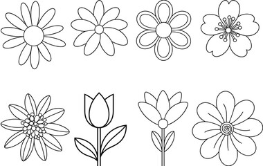 Fototapeta premium Outline Drawings of Various Flowers and Tulips illustration