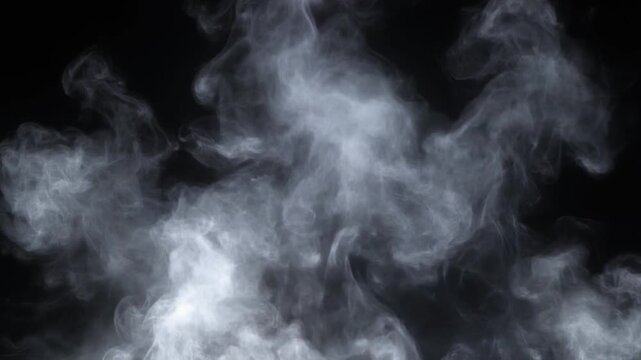 White smoke swirling against a black background for overlay or texture use