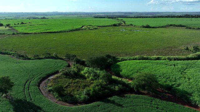 Aerial view of a water reservoir surrounded by sugarcane contour plowing and native forest
