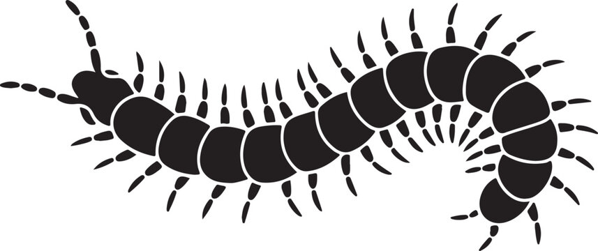 Black Silhouette of a Centipede on White Background with Segmented Body