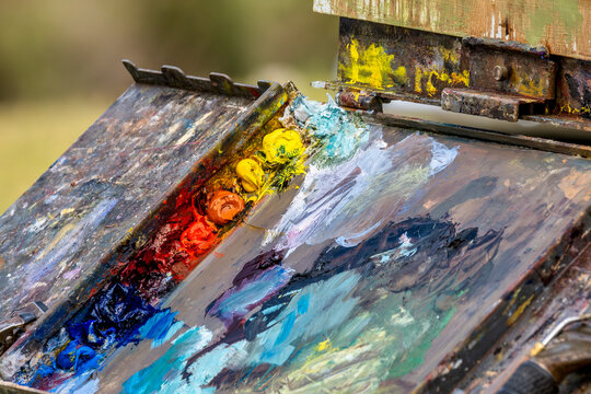 Explore the Vibrant World of Art with a Colorful Paint Palette &ndash; Discover Creative Painting Techniques and Artistic Inspiration in Florida, New Smyrna Beach, USA