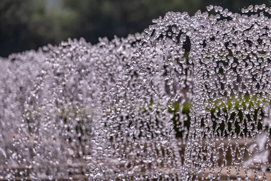 Captivating Water Fountain Display: Mesmerizing Patterns and Sparkling Droplets - A Visual Treat for Nature Lovers