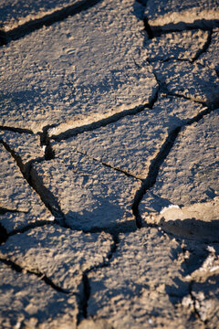 Cracks in mud along  the Little Missouri River, in Theodore Roosevelt National Park