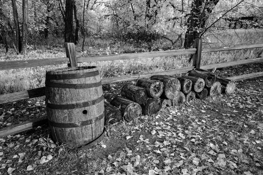 Rustic wooden barrel and logs by a fence in a serene autumn forest setting