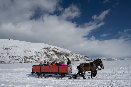 North America, USA, Wyoming, horse drawn sleigh gives tourist a tour of National Elk Refuge, Jackson Hole
