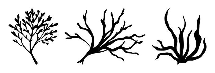 Seaweed set with diverse shapes and detailed silhouette design featuring aquatic plants, marine flora, underwater vegetation with ocean life and natural forms © MdBiplob