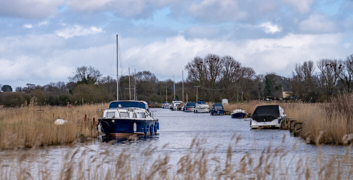 Motorboat moored up against the golden reed bed on the River Bure, Norfolk Broads