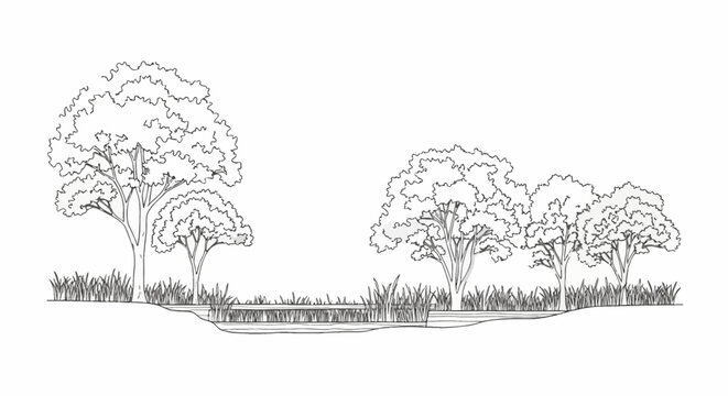 Minimalist architectural line drawing of a landscape section featuring a variety of deciduous trees, tall marsh grass, and a shallow pond cross-section on a plain white background.