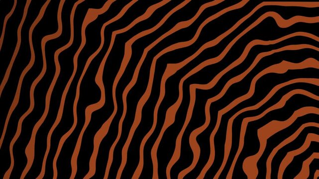 Black background with wavy tiger stripe patterns. Suitable for backgrounds, textures, and wildlifethemed designs.