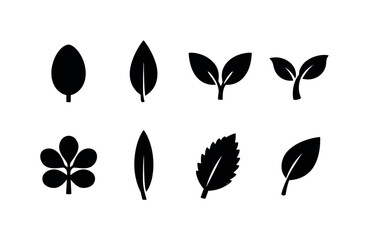 Botanical leaf shapes: simple oval leaf, pointed leaf blade, double leaf branch, curved leaf sprout, round leaf cluster, long narrow leaf, serrated edge leaf, leaf with stem