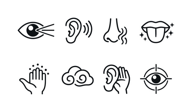 Sensory perception elements: eye with vision rays, ear with vibration lines, nose with airflow lines, tongue with taste sparkles, hand with tactile dots, smell cloud swirl, ear