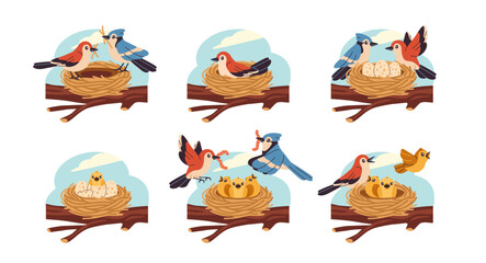Set of cute nesting birds. Couple of small birds build nests, hatches eggs, feed and protect their offspring. Nature and Wildlife. Flat vector illustration collection isolated on background © 100% HAND-CRAFTED