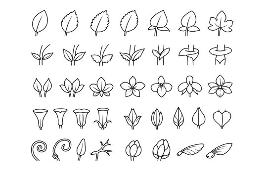 Trichome icons morph image tendril simple variants calyx array vector generation icon