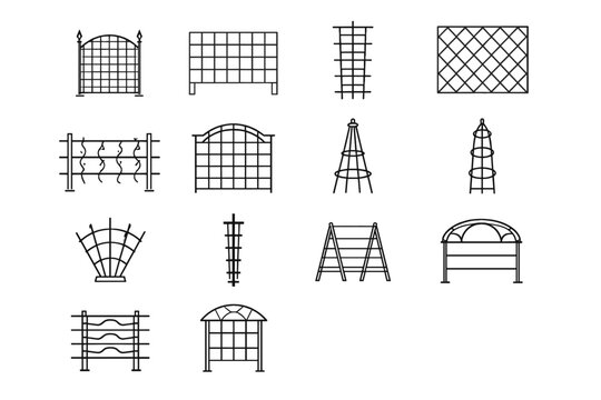 Image simple vector structured aid narrow vine panel climbing plant generation frame