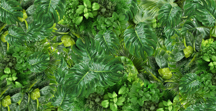 lush and vibrant tropical foliage background filled with rich green leaves, creating a dense natural texture inspired by rainforest vegetation, perfect for eco-themed designs and fresh botanical 