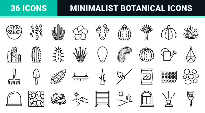 Botanical Succulent and Desert Flora Line Art: Ultra-minimalist Monoline Geometric Outline Icon Set for Xerophytic Plant Horticulture Design