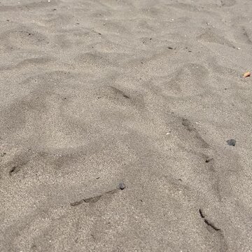 Close-up of Textured Beach Sand with Natural Ripples and Small Stones