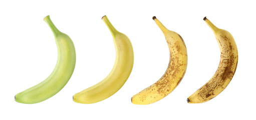 Ripening stages of banana fruits on white background, set