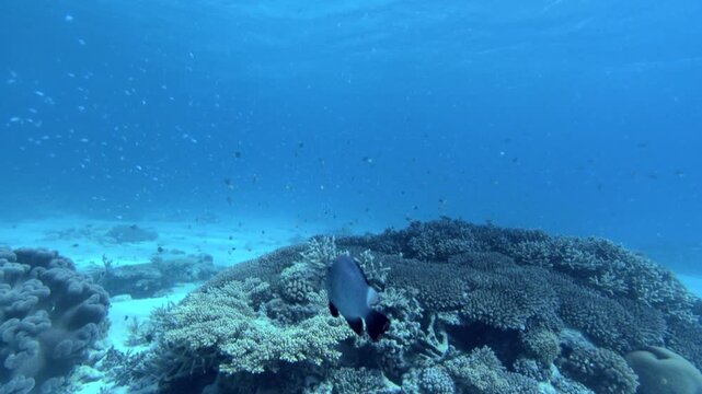 慶良間諸島