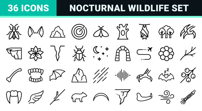 Nocturnal Wildlife Bat Outline Icon Set, Ultra-Minimalist Geometric Monoline Symbols for Halloween and Biological Education Graphic Design