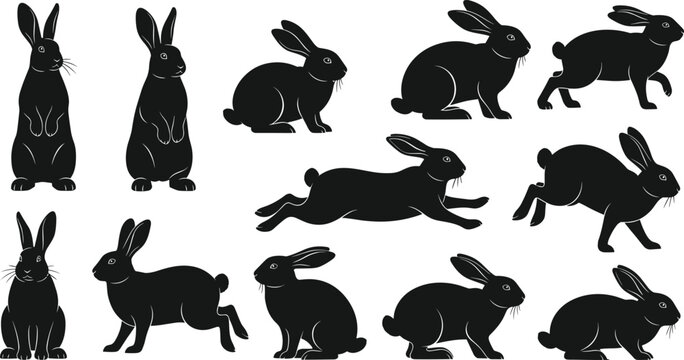 Rabbit and hare minimal vector illustration set featuring various jumping running and standing poses for nature and Easter designs