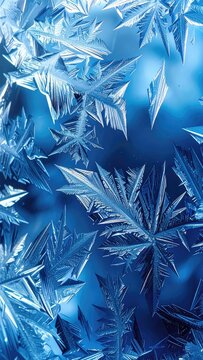 Intricate ice crystals form delicate patterns on a blue background.