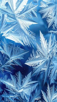 Intricate frost patterns form crystalline structures on a blue background.