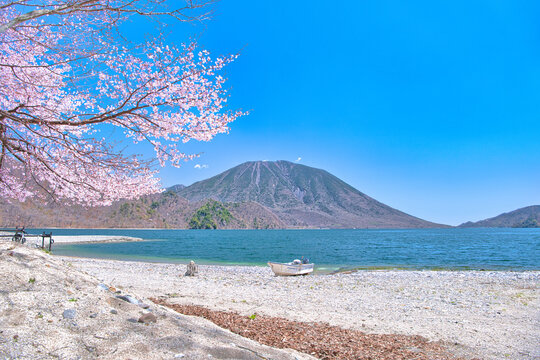 栃木県日光市　奥日光の満開の桜と男体山と中禅寺湖