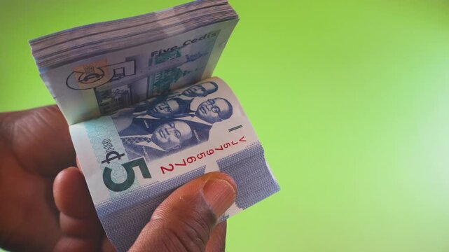 A hand flips through a bundled stack of blue 5 Ghana Cedi banknotes against a green backdrop, highlighting the texture and design of the Ghanaian currency in a clean, professional close-up.