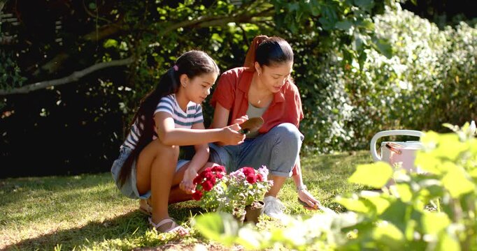 Teaching mom and girl planting red potted flowers in backyard, in red and striped, using trowel